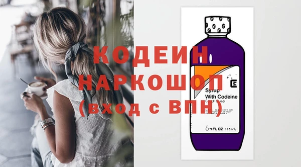 индика Алексин