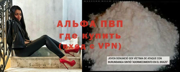 индика Алексин