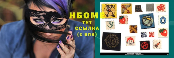 прущий лед Алзамай