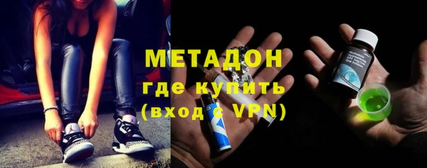 индика Алексин