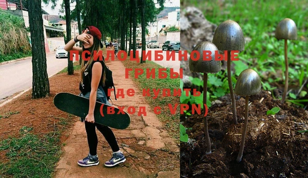 прущий лед Алзамай