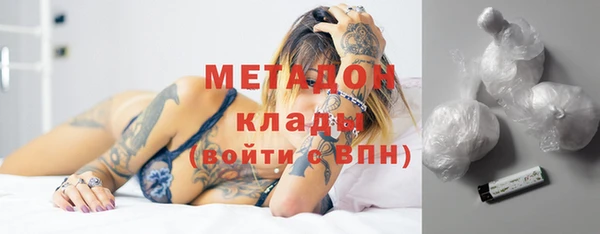 индика Алексин