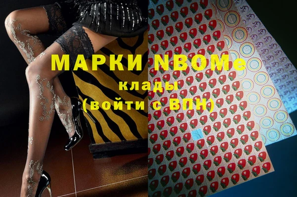 индика Алексин