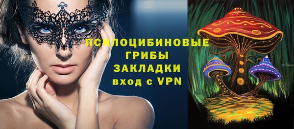 прущий лед Алзамай
