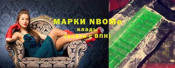 прущий лед Алзамай