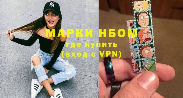 прущий лед Алзамай