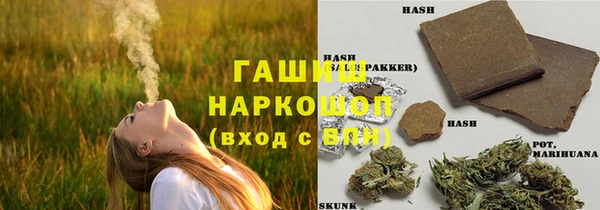 прущий лед Алзамай