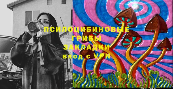 прущий лед Алзамай