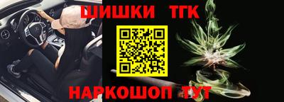 гидра Гатчина