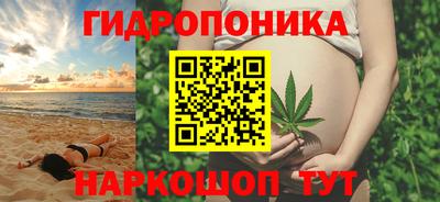 гидра Гатчина