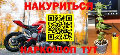 гидра Гатчина