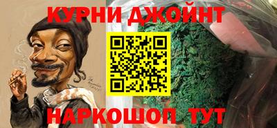 гидра Гатчина