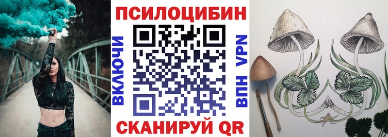 купить наркотик  Нижний Новгород  Псилоцибиновые грибы Psilocybine cubensis 