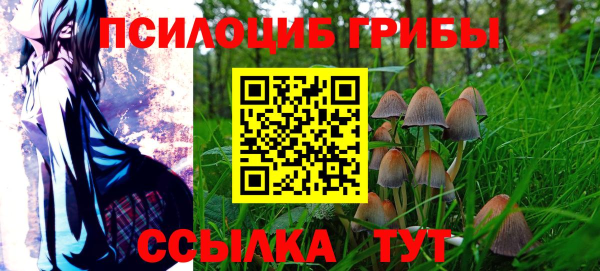Галлюциногенные грибы мицелий  Вход с VPN  Нижний Новгород 