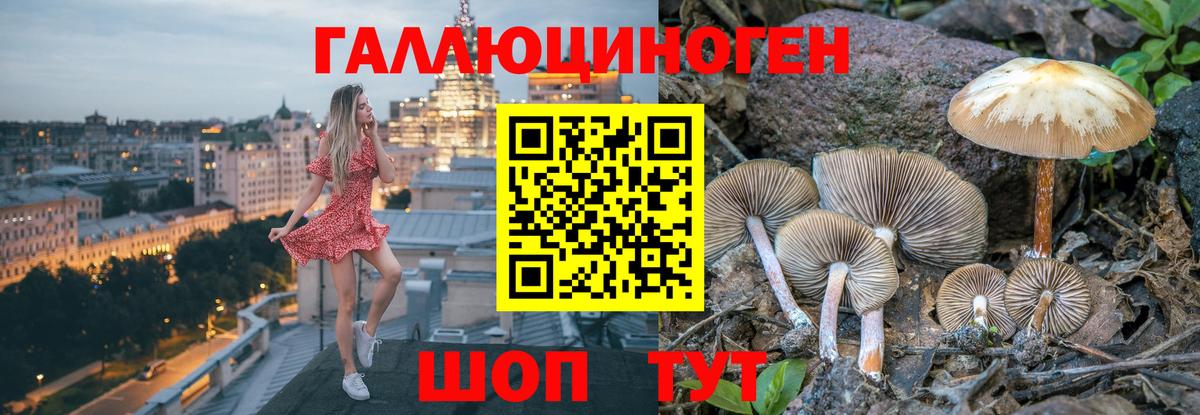Галлюциногенные грибы Psilocybe Нижний Новгород